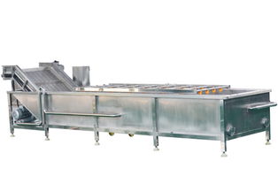 專業桃子清洗機全面解析 崇左與諸城洗刷刷機械的技術與應用